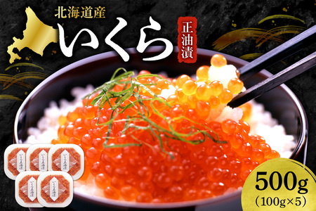 いくら正油漬　100g×5｜イクラ 魚卵 醤油漬け 北海道 札幌市