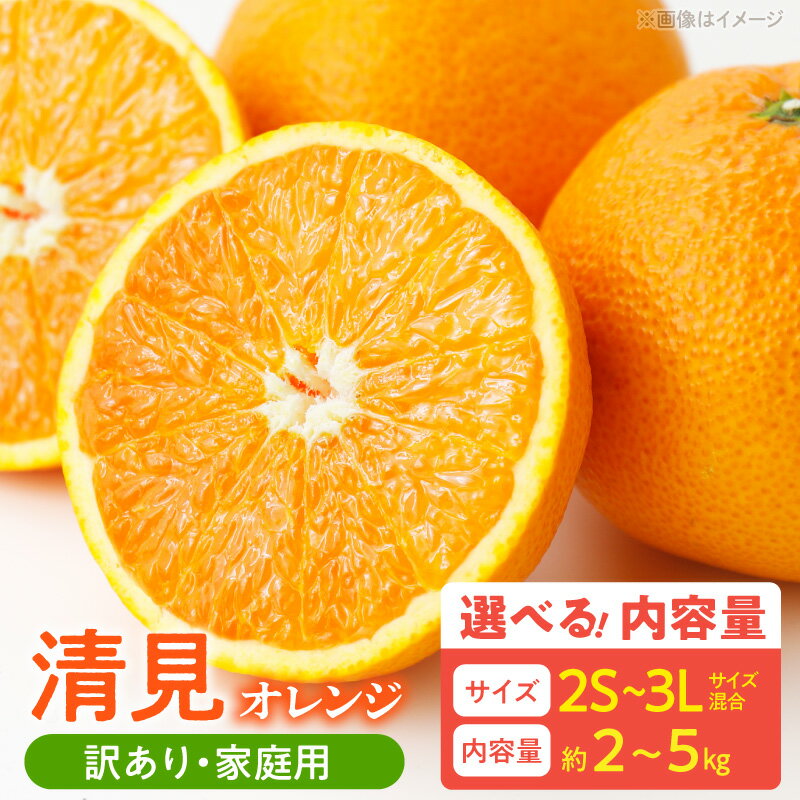 【ふるさと納税】【限定】 【先行予約】 訳あり 家庭用 きよみ 清見オレンジ 和歌山 有田 2S ～ 3L サイズ混合 選べる 内容量 約2kg ～ 約5kg 和歌山県 湯浅町 送料無料