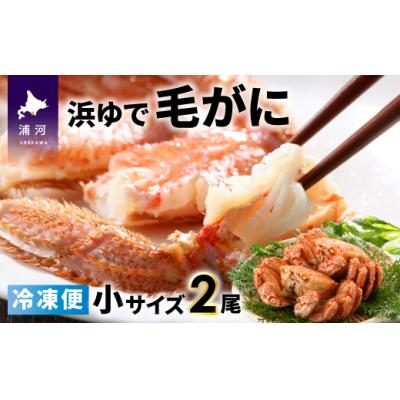 ふるさと納税 浦河町 &lt;冷凍&gt;漁協の浜ゆで毛がに 小サイズ2尾セット [02-784]