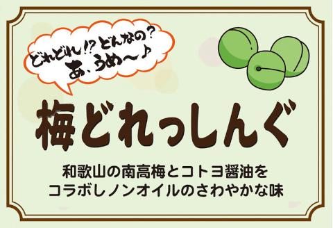 老舗コトヨ醤油 充実した調味料セット 1C08014