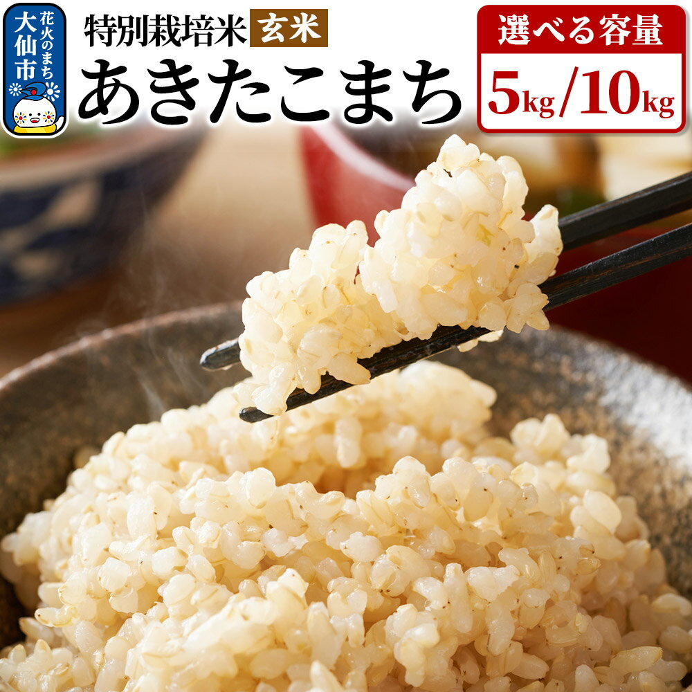 【ふるさと納税】米 令和7年産【特別栽培米】あきたこまち【玄米】選べる容量【5kg／10kg】