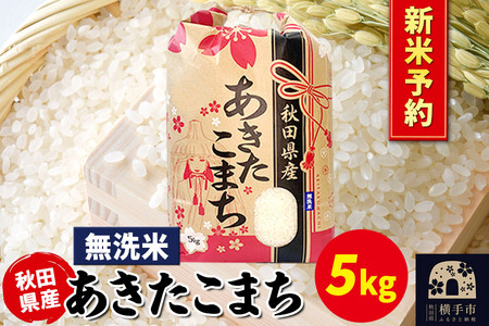 《令和7年産 新米受付》あきたこまち 5kg×1袋【無洗米】秋田県産 こまちライン