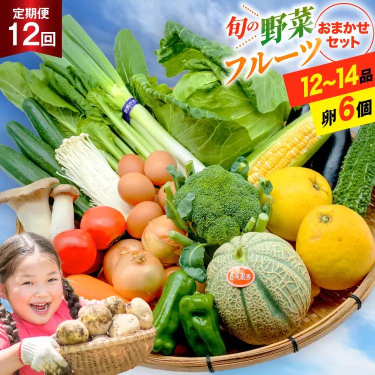 BF057 野菜 フルーツ 定期便3回 おまかせセット 野菜 フルーツ12～14品目 卵6玉