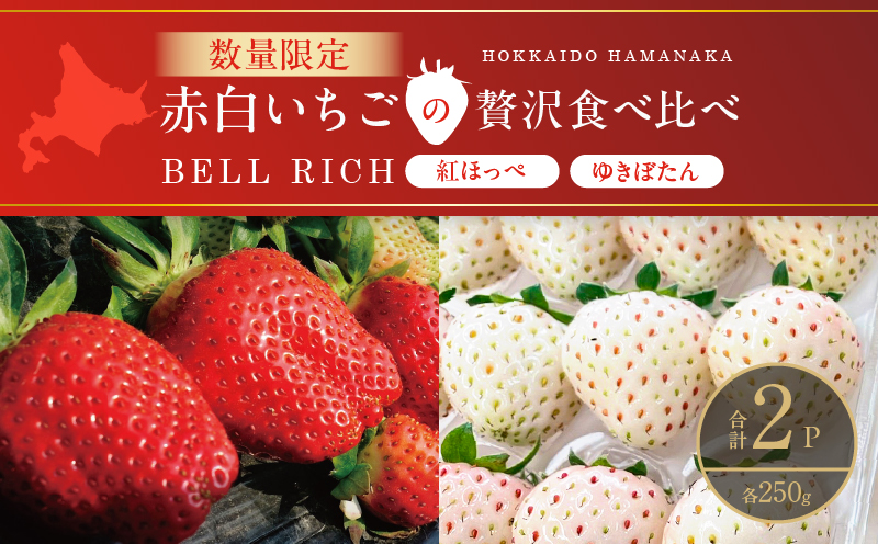 《数量限定》赤白いちごの贅沢食べ比べセット(合計2パック) BELL RICH_H0049-100