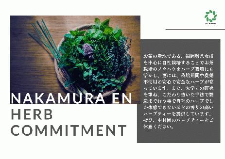 中村園　ハーブ×八女茶ブレンド　4種セット