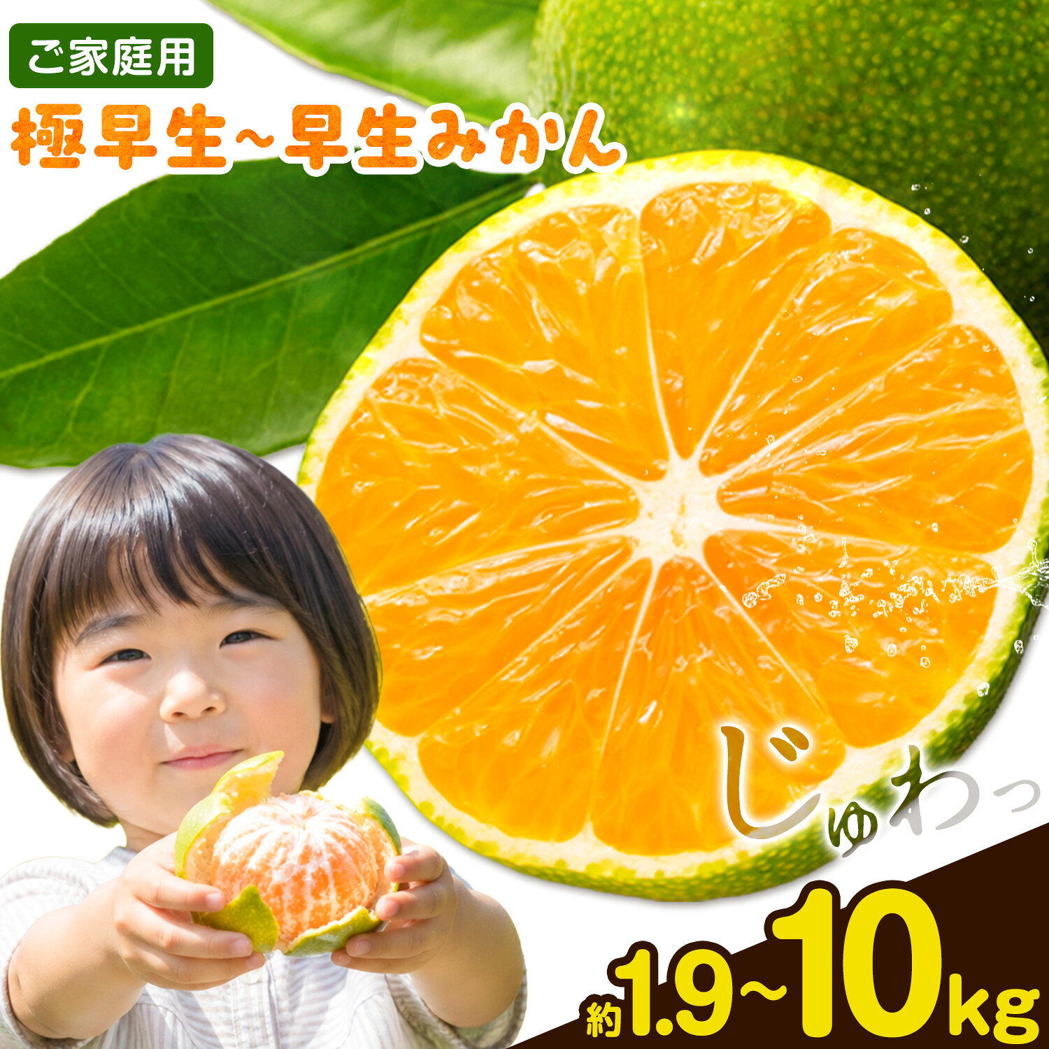 【ふるさと納税】みかん 訳あり 1.9kg~10kg 極早生 早生 ご家庭用 サイズ不選別 お試し 大容量 選べる内容量 約1.9kg 約5kg 約10kg《11月上旬-12月初旬頃出荷》徳島県 佐那河内村 わけあり みかん 柑橘類 わけありフルーツ 果物 フルーツ お取り寄せフルーツ