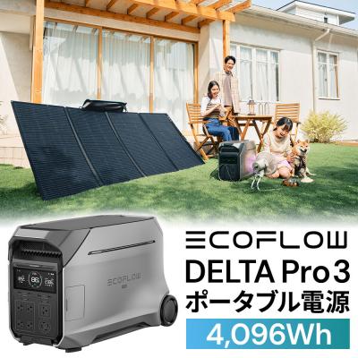 ふるさと納税 大仙市 EcoFlow ポータブル電源(容量4,096Wh)DELTA|22_etj-010101