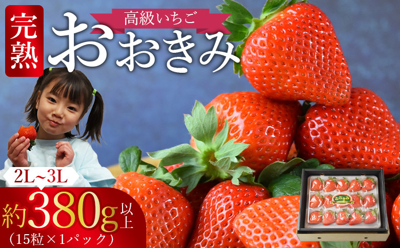 
高級いちご 「おおきみ」（15粒入り×1パック約380g以上）【 選べる 贈答用 簡易包装 ご家庭用 いちご イチゴ 苺 先行予約 甘い 大きい 果物 フルーツ 季節物 お祝い お返し サンクール・スマイルファーム 】2025年1月上旬から4月末迄に順次出荷
