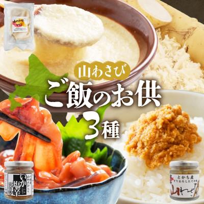 ふるさと納税 帯広市 十勝 山わさび入り ごはんのおとも 3種 とろろ&amp;イカの塩辛&amp;醤油漬け 各1個 北海道 帯広市
