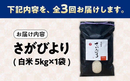 【3回定期便】武雄市産 さがびより 白米 5kg /株式会社 y's company（utsu和ya）[UDX025]