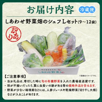 しあわせ野菜畑のシェフLセット　(訳あり規格外の有機野菜を一部使用)【配送不可地域：離島・北海道・沖縄県・四国・九州】