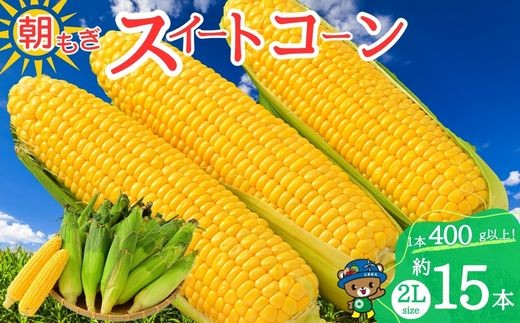 
                  【2026年8月上旬から発送】北海道とままえ産 スイートコーン 2Lサイズ 約15本 とうもろこし 北海道産 先行 予約 受付 甘い 旬 産地直送 野菜 冷蔵 北海道 苫前町 とままえ rum11
                