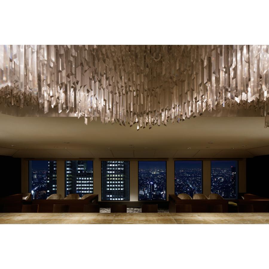 ＜京王プラザホテル＞スカイラウンジ『オーロラ』プレミアム貸切プラン（50名様）【三越伊勢丹選定】