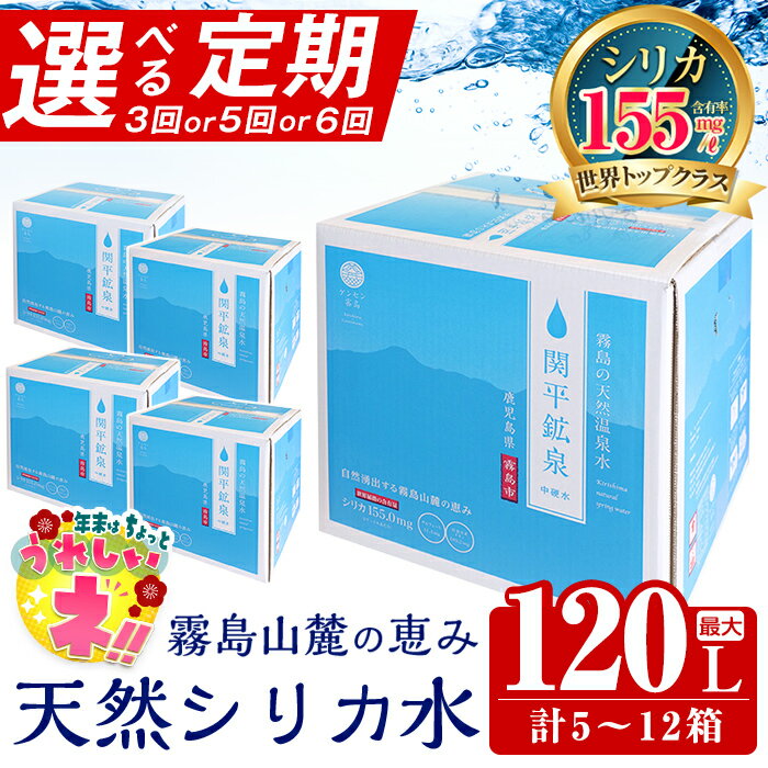 【ふるさと納税】【寄附額改定】《選べる定期》関平鉱泉水10L(2箱×3回・1箱×5回・2箱×6回)定期便♪ 水 ミネラルウォーター 温泉水 シリカ シリカ水 ミネラル成分 飲料水 天然水【関平鉱泉所】