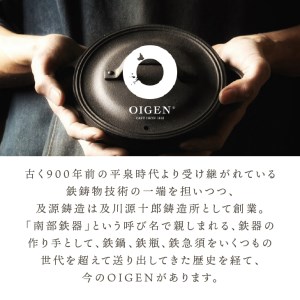 南部鉄器 急須 千草 0.55L 若草色 【OIGEN 作】 伝統工芸品 キッチン用品 食器 日用品 雑貨[Z0035]