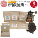 【ふるさと納税】コーヒーマイスター監修 新鮮珈琲セット 【粉末タイプ】 3種類 各100g×2パックずつ 合計6パック 珈琲 コーヒー コーヒーマイスター コロンビア産 エチオピア産 ブラジル産 送料無料