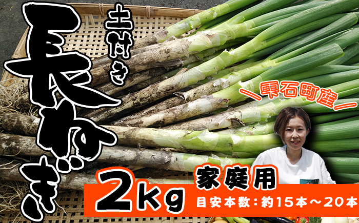 岩手県産 極楽野 土付き 長ねぎ 2kg 以上 目安本数約 15本 ～ 20本 家庭用 【高橋農園】／ 長ネギ 長葱 ねぎ ネギ 葱 白ねぎ 白ネギ 白葱 新鮮 野菜 やさい 人気野菜 国産 EM栽培