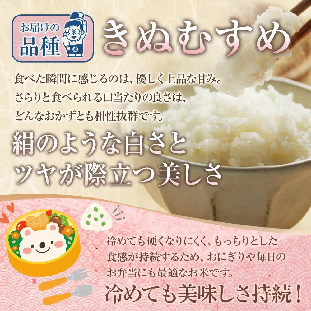 鳥取のお米 きぬむすめ 5kg 精米 きぬむすめ