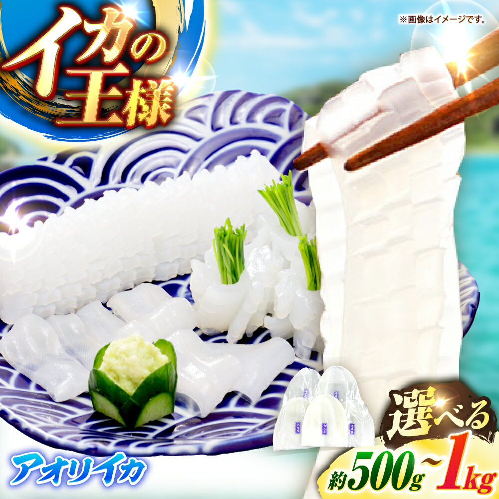 【ふるさと納税】【冷凍】 アオリイカ 刺身用 500g / 1kg 水烏賊 《壱岐市》【一支國屋】[JCC023] いか イカ 烏賊 海鮮 魚介 刺身 刺し身 お刺身