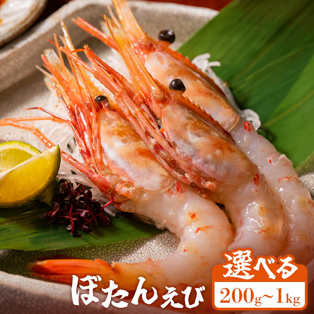 【ふるさと納税】【選べる内容量200g～1kg】超速リキッド凍結でドリップゼロ！北海道羽幌産生鮮ぼたんえび | ぼたんえび 新鮮 海鮮 魚介 甲殻類 海老 エビ 人気 小分け 刺身 丼 贅沢 おつまみ 酒の肴 冷凍 お取り寄せ 北海道 羽幌町【03126】
