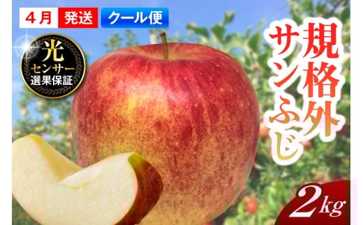 【2026年4月上旬発送】【規格外】 りんご サンふじ 約2kg スマートフレッシュ™貯蔵 または CA貯蔵 【クール便】 青森県産