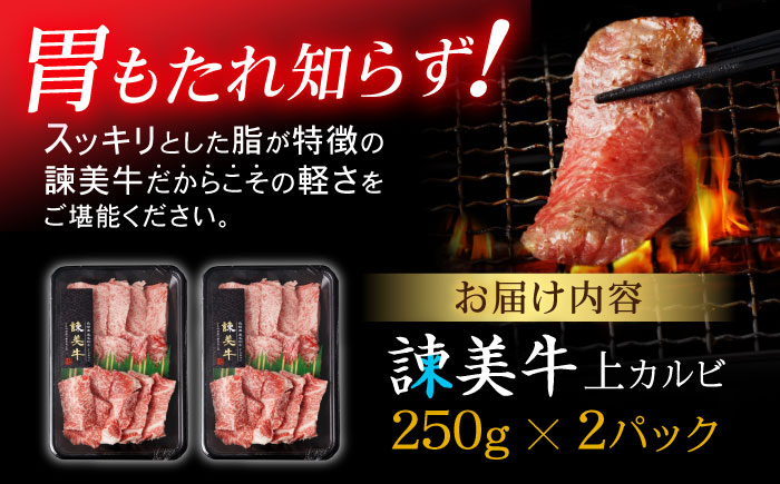 【ANA限定】諫美牛 上カルビ 500g(250g×2) / 牛肉 ぎゅうにく 和牛 肉 焼肉 やきにく 国産 カルビ かるび / 諫早市 / 株式会社土井農場 [AHAD101]