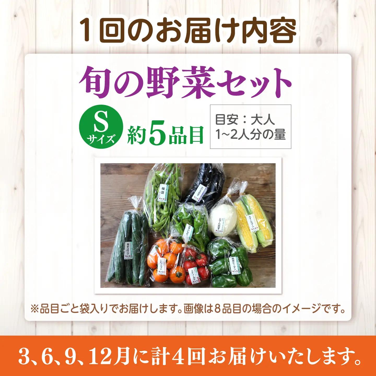 【全4回定期便】旬の野菜セットSサイズ 島根県松江市/須山農園[ALBD011]
