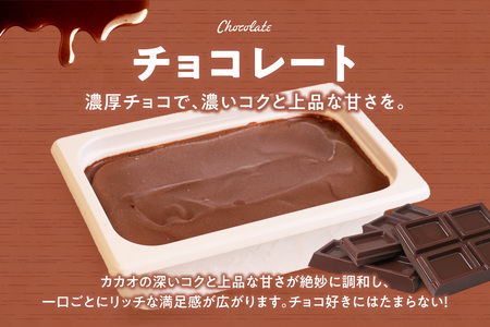 951アイスクリーム　バルクアイス2L×１個（チョコレート） | アイス 濃厚 チョコ 北海道 札幌市