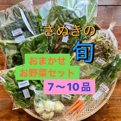 ふるさと納税 香川県 旬を楽しむTAGATAMEのおまかせお野菜セット(7〜10品)