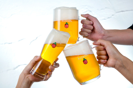 【定期便6ヶ月】ベアレン ドライシードル12本＆缶ビール×6本＆瓶ビール×6本(計12本) 飲み比べセット 計24本 (AT040)