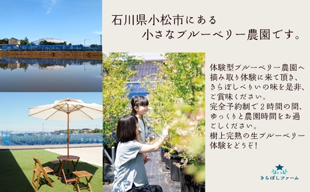 ブルーベリー摘み取り体験《大人1名様》010203