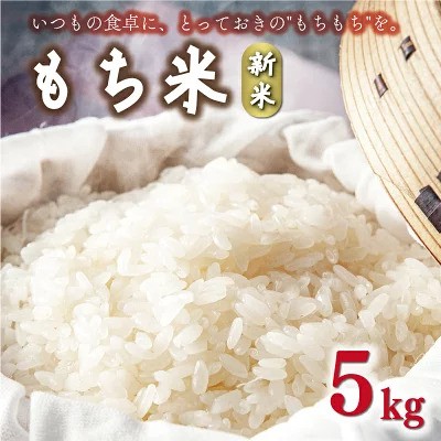 
                  令和8年産 新米 2026年産 もち米 5kg 愛媛県 愛南町産 農家直送  粘り 甘み 香り 別格 厳選 もちごめ お正月 お餅 赤飯 お赤飯 おこわ 栗おこわ 山菜おこわ ちまき おはぎ ぼたもち 祝い事 お祝い ハレの日 内祝い 節句 ひな祭り 端午の節句 卒業 入学 家庭用 業務用 産地直送 農家直送 国産米 精米 白米 産地直送 送料無料 12000円 和家農園 愛南町 愛媛県
                