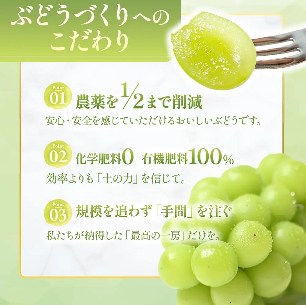 特別栽培 減農薬 シャインマスカット1㎏ 山梨シャインマスカット