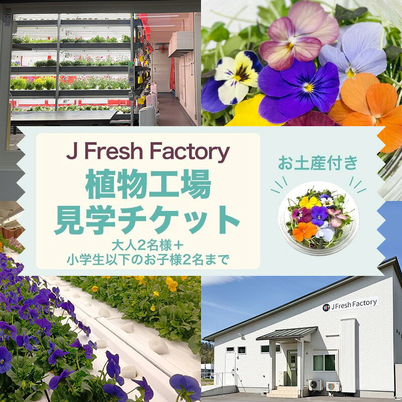 【ふるさと納税】チケット 自動車部品メーカーが作った植物工場 大人2名 小学生以下2名まで エディブルフラワーの収穫体験付き工場見学 栽培期間中無農薬で育てたリーフサラダカップのお土産付き 食用花 長野県上田市
