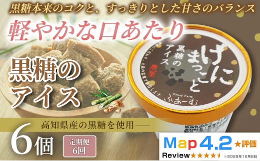 黒糖 アイス 36個 100ml×6個×6回定期便 アイスクリーム 人気 ご当地アイス 高知県 黒糖味 黒砂糖 スイーツ デザート お菓子 おやつ ヘルシー  高知県産  スイーツ 氷菓 手作り 話題 ユニーク 変わり種 ホームパーティー おもてなし 詰め合わせ 贈り物 贈答 冷凍 ギフト プレゼント ロングセラー リピート 安芸市 高知県