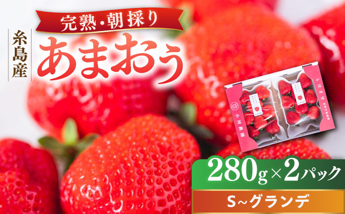 
農家直送！ 糸島産 完熟あまおう 280g×2パック (S-Gサイズ) 糸島市 / 小河農園 フルーツ 果物 いちご イチゴ 苺 [AJN003]
