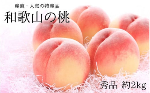 桃 もも 【農園直送】朝採れ 和歌山の桃 約2kg 秀品【2026年度発送分】/ 桃 もも momo 高級 厳選 国産 新鮮 おすすめ 人気 お取り寄せ 贈答 夏 旬 おいしい ジューシー 甘い フルーツ ギフト 夏ギフト 贈り物 プレゼント お祝い 果物 くだもの 人気 産地直送 お取り寄せ 和歌山【tec910B】