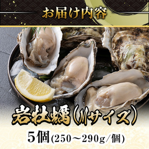 ＜平日着※指定日不可＞＜先行予約受付中！3月中旬～4月下旬発送予定＞岩牡蠣(養殖)Mサイズ(5個) 魚介 海鮮 海の幸 かき カキ オイスター 三光水産 養殖 冷蔵【sm-DD006・sm-DD007