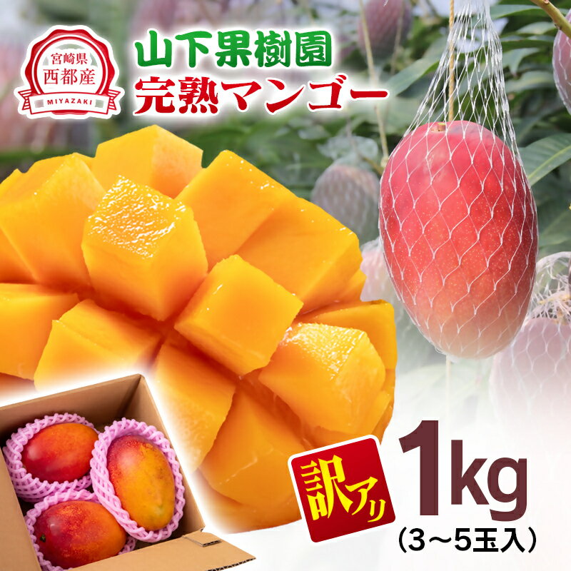 【ふるさと納税】山下果樹園 完熟マンゴー1kg「訳あり」3～5玉 宮崎県 西都産＜1.5-25＞【先行予約】令和7年収穫分 果物 フルーツ
