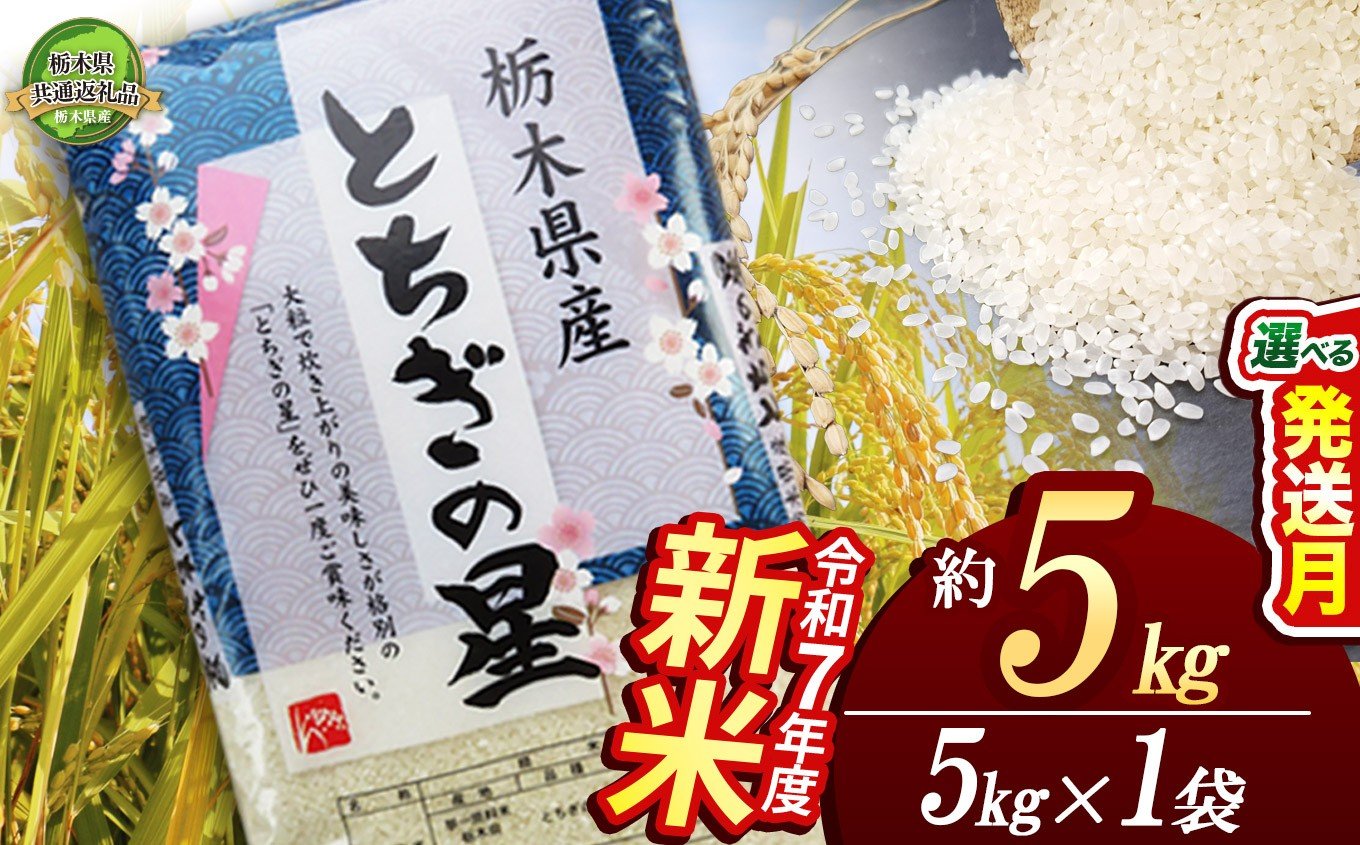 
            とちぎの星 5kg | 定期便あり 米 こめ コメ kome 白米 精米 お米 とちぎのほし トチギノホシ ﾄﾁｷﾞﾉﾎｼ 粘り 弾力 冷めても美味しい 丼もの カレー 新米 栃木米 令和7年度米 令和7年度 2025年度米 2025年度 ブランド米 栃木県 特産品 栃木県共通返礼品 送料無料 栃木県 下野市 しもつけ市
          