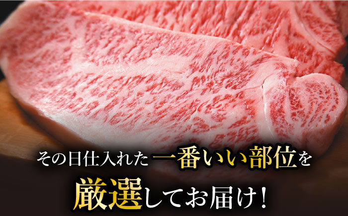 【全6回定期便】【訳あり】博多和牛 サーロインステーキ ＆ あまおう セット1.3kg＜株式会社MEAT PLUS＞那珂川市 [GBW092]