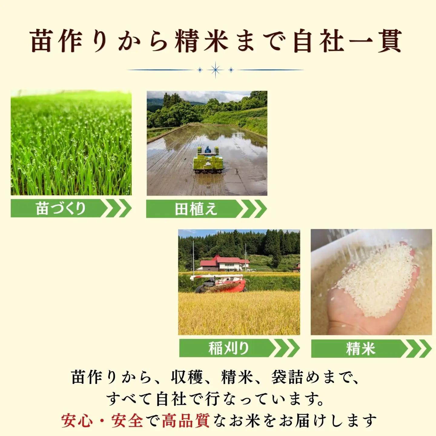【新米予約】にじのきらめき 精米 10kg 豊米