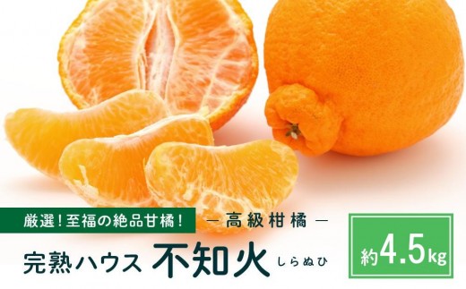 越冬完熟しらぬひ 4.5kg 2026年3月上旬～発送予定【みかん 不知火 しらぬい 柑橘 果物 フルーツ 産地直送 人気 おすすめ 瀬戸内 広島県  尾道市】