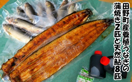 
                  田野町産うなぎの蒲焼き2匹と天然鮎8匹セット　タレ付き 山椒付き うなぎ 鰻 ウナギ 白焼 無頭 おいしい 国産 個包装 お取り寄せ 冷凍 配送 
                