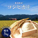 【ふるさと納税】新潟県産コシヒカリ おおしま育ち 精米5kg 上越市 お米 米 お取り寄せ