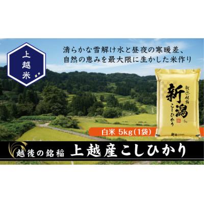 ふるさと納税 上越市 【新米　令和8年産】【食味鑑定士厳選】　新潟県上越市産こしひかり　5kg