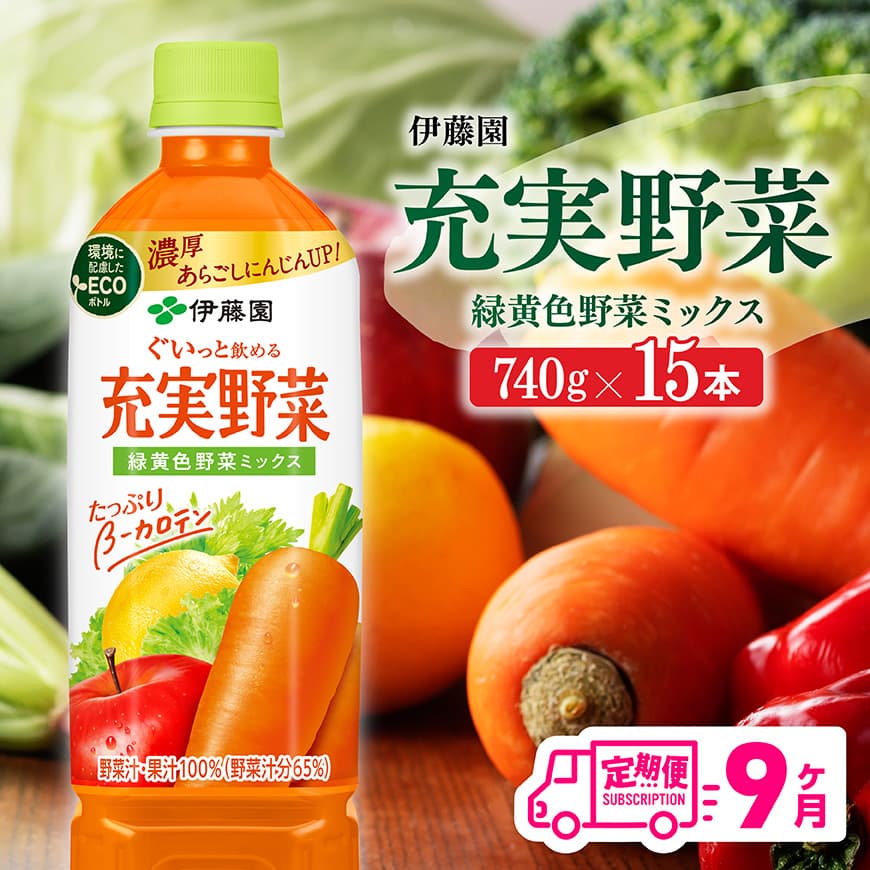 【9ヶ月定期便】 伊藤園 充実野菜 緑黄色野菜ミックス ペットボトル 740g×15本 【 飲料類 ソフトドリンク 野菜ジュース 】[E7366t9]