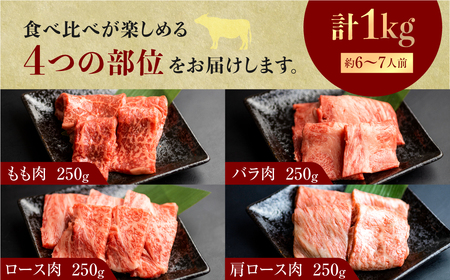 飛騨牛 焼肉 250g×4種 食べ比べ セット 1kg 3～5人前 焼き肉 もも ロース バラ 肩ロース バーベキュー BBQ JAひだ[S202]