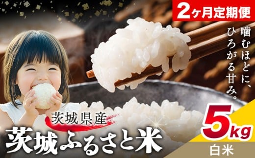 米 茨城 ふるさと米 白米 5kg 5kg×1袋 2回お届け 定期便《お申し込み月の翌月から出荷開始》茨城県 結城市 米 国産 お米 おこめ お弁当 おにぎり