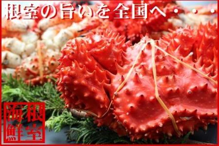 【北海道根室産】花咲ガニ450～600g×2尾 A-57038